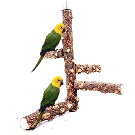 Bird Perches