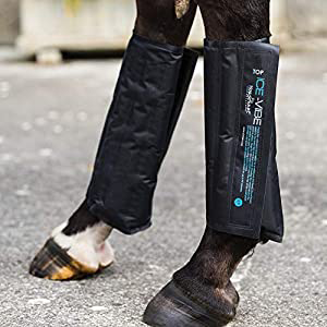 Horse Boots and Wraps